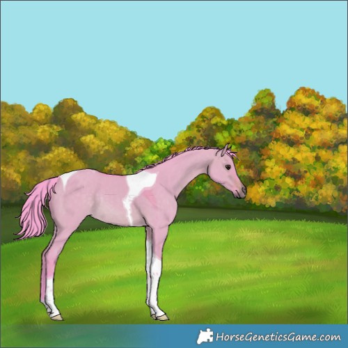 Horse Color:Watercolor Brown Dun Tobiano Rabicano 
