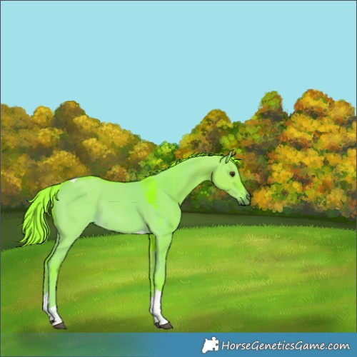 Horse Color:Watercolor Liver Red Dun Tobiano Rabicano 