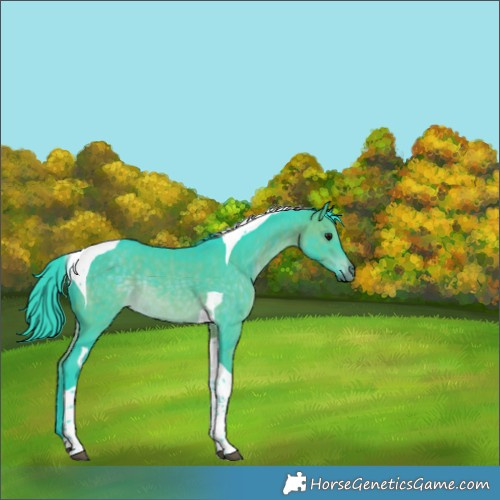 Horse Color:Watercolor Brown Tobiano Rabicano 