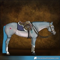 Horse Color:Watercolor Liver Red Dun Tobiano Rabicano