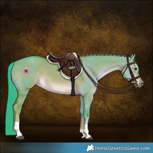 Horse Color:Watercolor Liver Red Dun Tobiano Rabicano