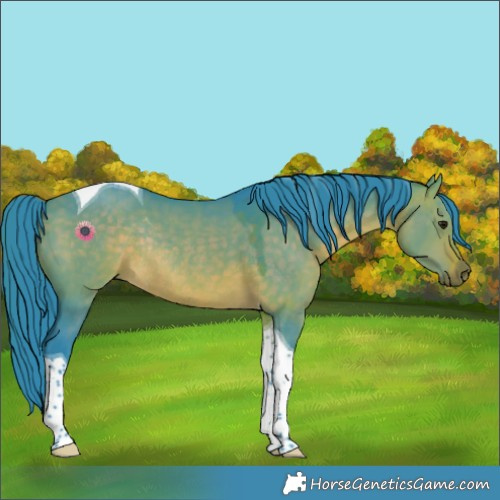 Horse Color:Watercolor Brown Dun Tobiano Rabicano 