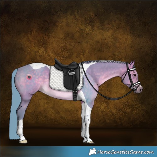 Horse Color:Watercolor Brown Dun Tobiano Rabicano