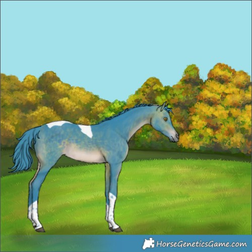 Horse Color:Watercolor Brown Tobiano Rabicano 