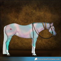 Horse Color:Watercolor Buckskin Dun Tobiano Rabicano 