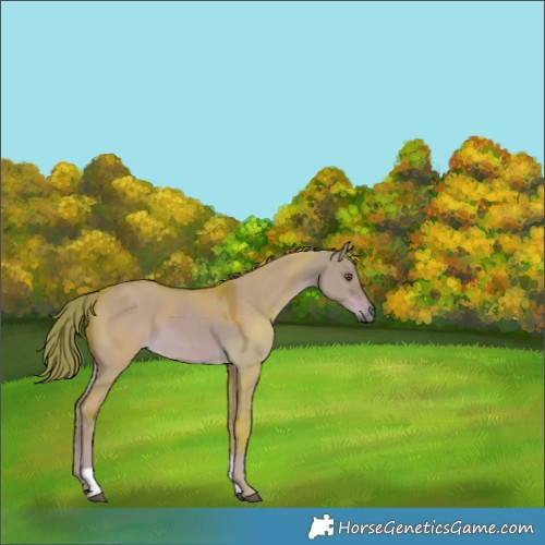 Horse Color:Watercolor Liver Red Dun Tobiano Rabicano 