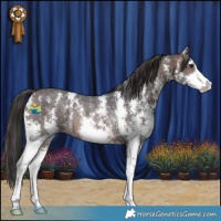Horse Color:Brown Sabino Rabicano