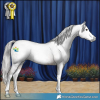 Horse Color:Gray Liver Red Roan Sabino Splash 