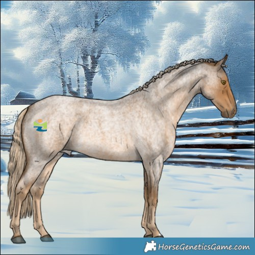 Horse Color:Chocolate Palomino Roan 