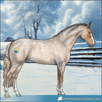 Horse Color:Chocolate Palomino Roan 