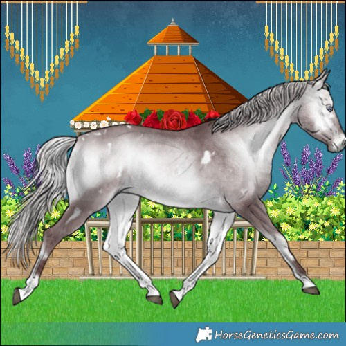 Horse Color:White Spotted Chocolate Silver Bay Chinchilla Onyx 