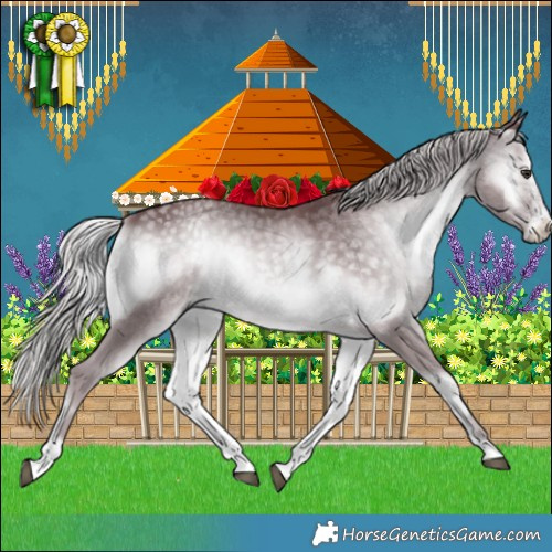 Horse Color:Chocolate Silver Blue Onyx Chinchilla Sabino 