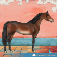 Horse Color:Brown 