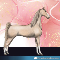 Horse Color:Red Dun Appaloosa and Red Dun Appaloosa