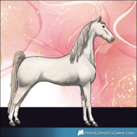Horse Color:Red Dun Varnish  and Red Dun Varnish 