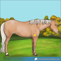 Horse Color:Silver Bay Pearl