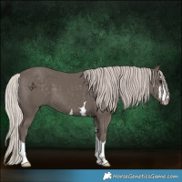 Horse Color:Silver Black 