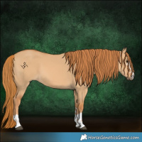 Horse Color:Red Dun 