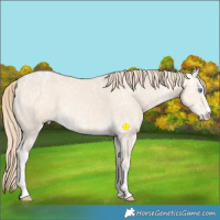 Horse Color:Perlino Ice 