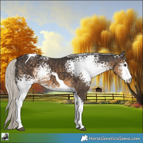 Horse Color:White Spotted Silver Smoky Black Tobiano 