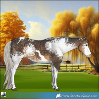 Horse Color:White Spotted Silver Smoky Black Tobiano 