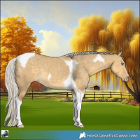 Horse Color:Silver Classic Cream Champagne Dun Tobiano 
