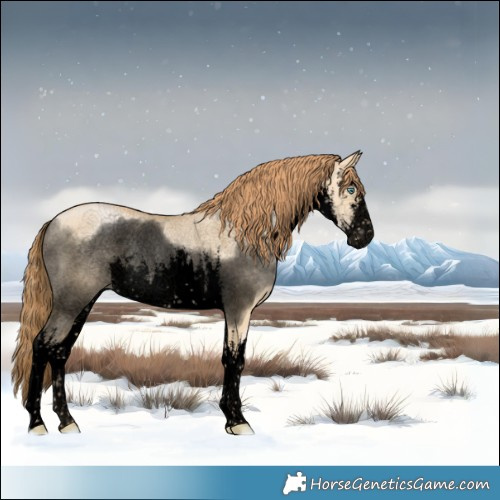 Horse Color:Void White Spotted Smoky Grullo Pearl Rabicano 