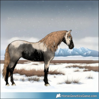 Horse Color:Void White Spotted Smoky Grullo Pearl Rabicano 