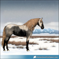 Horse Color:Void White Spotted Smoky Grullo Pearl Rabicano