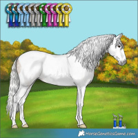 Horse Color:Gray Silver Bay Dun Splash Tobiano Rabicano 
