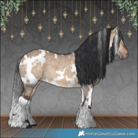 Horse Color:White Spotted Bay Dun