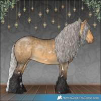 Horse Color:White Spotted Silver Buckskin Dun 