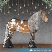 Horse Color:White Spotted Silver Buckskin 