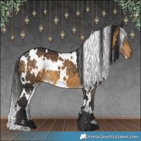 Horse Color:White Spotted Buckskin