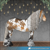 Horse Color:White Spotted Silver Buckskin 