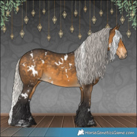 Horse Color:White Spotted Silver Buckskin 