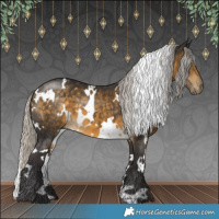 Horse Color:White Spotted Silver Buckskin 