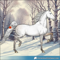 Horse Color:Gray Silver Perlino Dun 