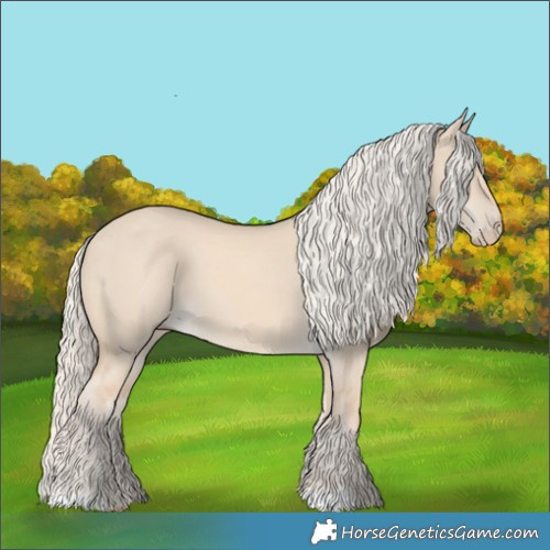 Horse Color:Cremello Dun 