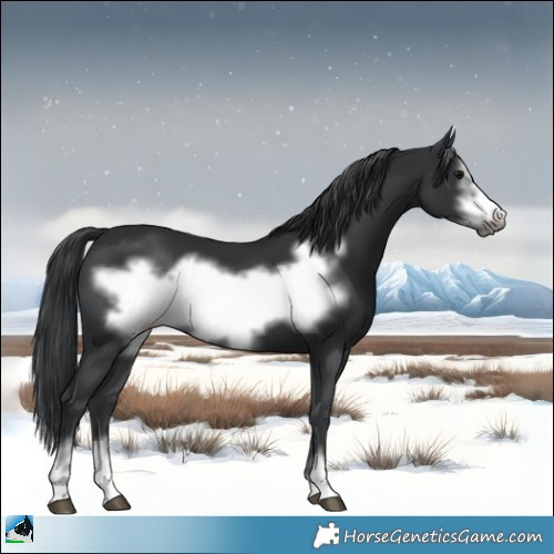 Horse Color:Black Frame 