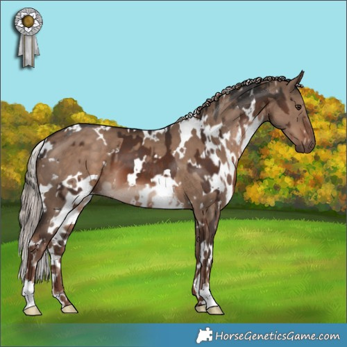 Horse Color:White Spotted Liver Chestnut Mushroom  and White Spotted Liver Red Dun 