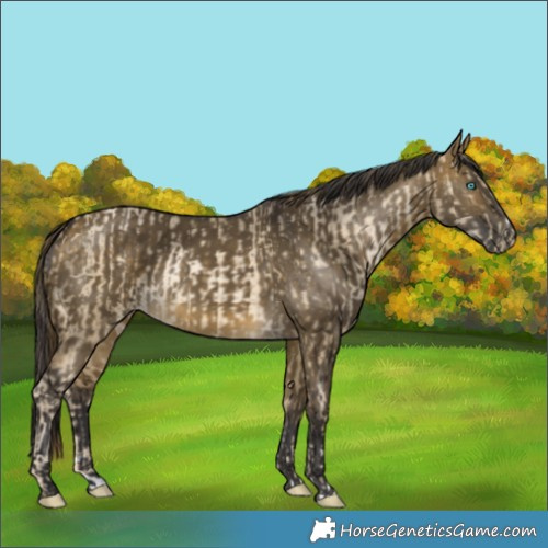 Horse Color:Buckskin Pearl Dun Rabicano  and Buckskin Dun 