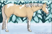 Horse Color:Silver Amber Champagne Dun Splash Tobiano Rabicano
