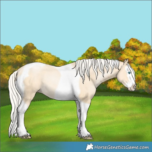 Horse Color:Silver Buckskin Pearl Dun Splash Tobiano Rabicano 