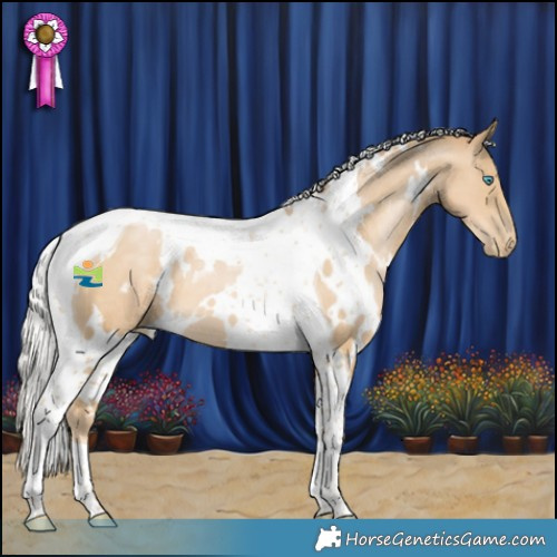 Horse Color:White Spotted Silver Black Snowdrop Pearl Tobiano 