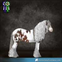 Horse Color:Liver Chestnut Tobiano Near Leopard