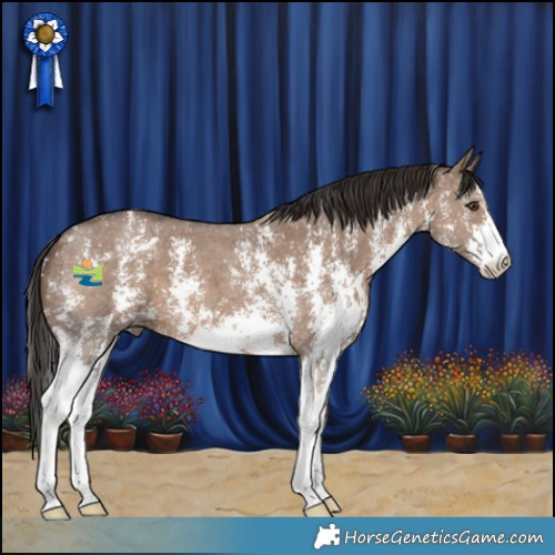 Horse Color:Liver Red Dun Sabino 