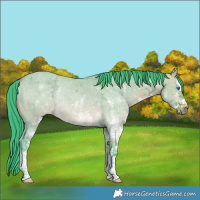 Horse Color:Watercolor White Spotted Brown Ice Dun Splash 