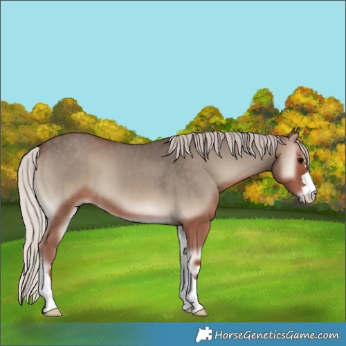 Horse Color:Silver Blue Onyx 