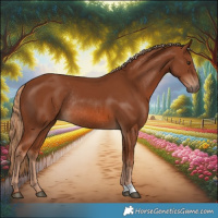 Horse Color:Chestnut Rabicano 